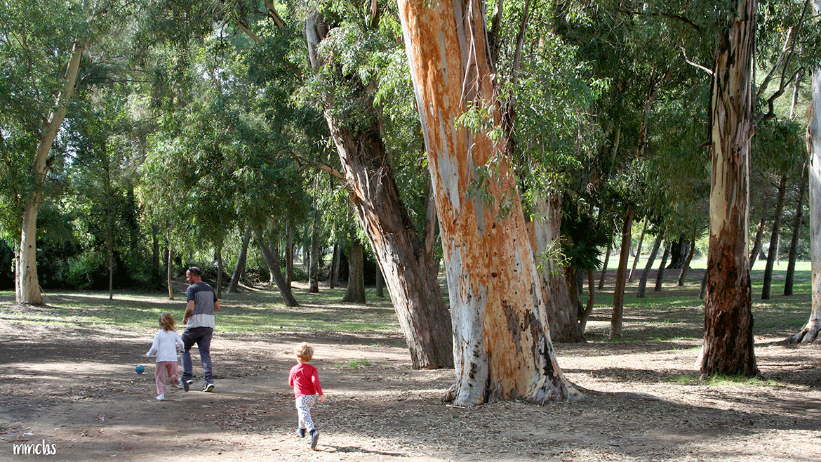 parque San Vicente de Liria