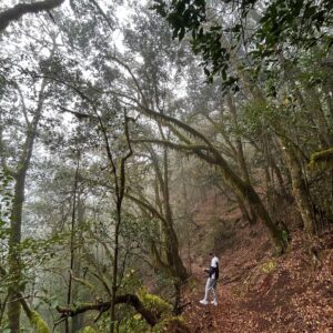 Luna de miel en La Gomera y El Teide, Islas Canarias (parte II) Luna de miel en La Gomera y El Teide, Islas Canarias (parte II)