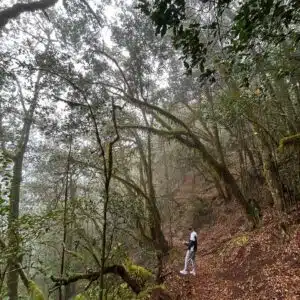 Luna de miel en La Gomera y El Teide, Islas Canarias (parte II)