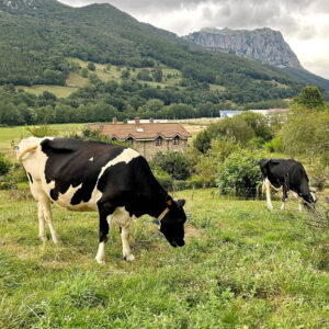 Viajar 12 días a Galicia y Cantabria (Parte II) Viajar 12 días a Galicia y Cantabria (Parte II)