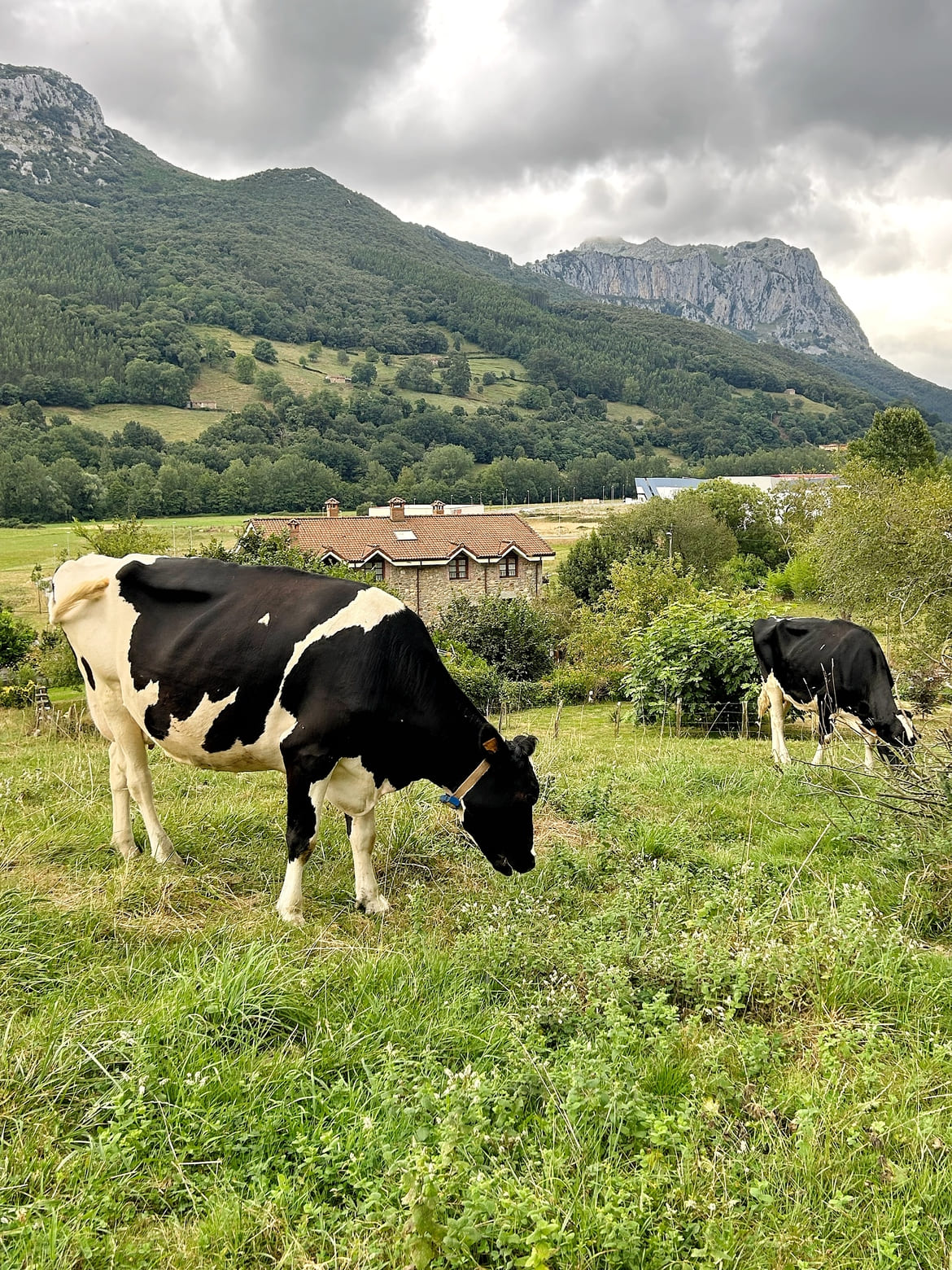 Alojamiento rural con niños en Cantabria