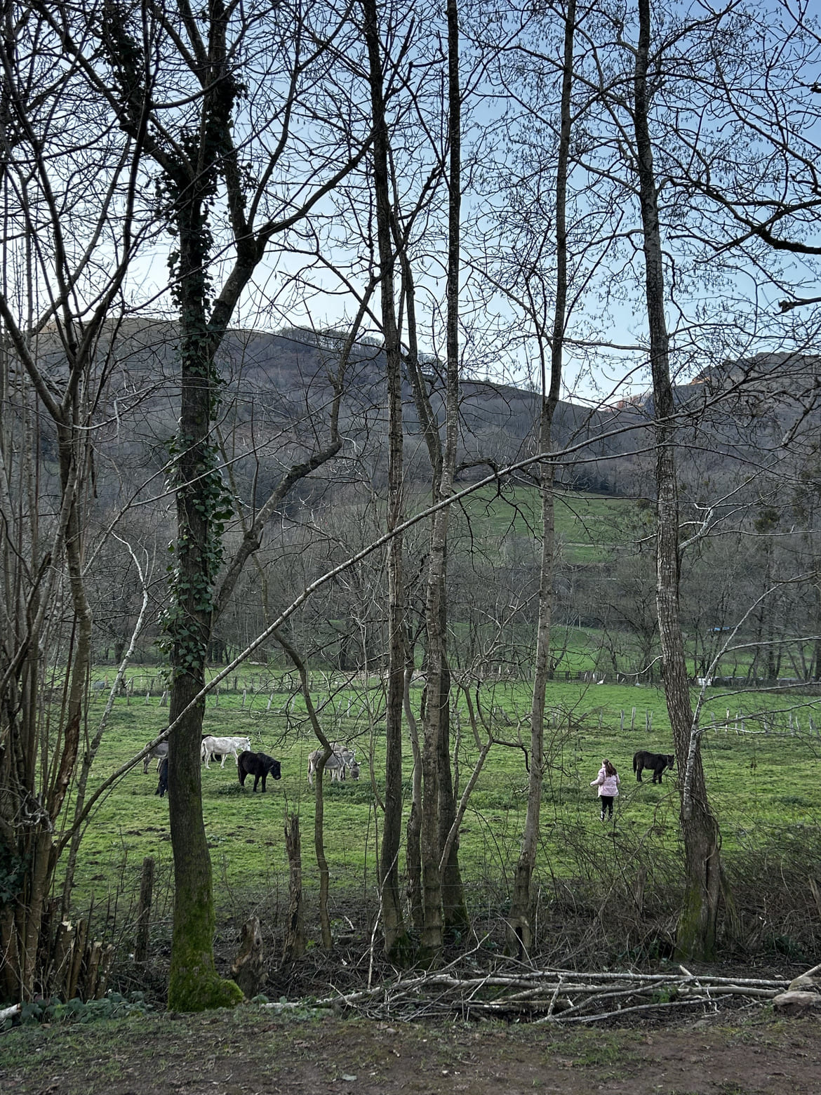 Ruta por el Valle del Baztán